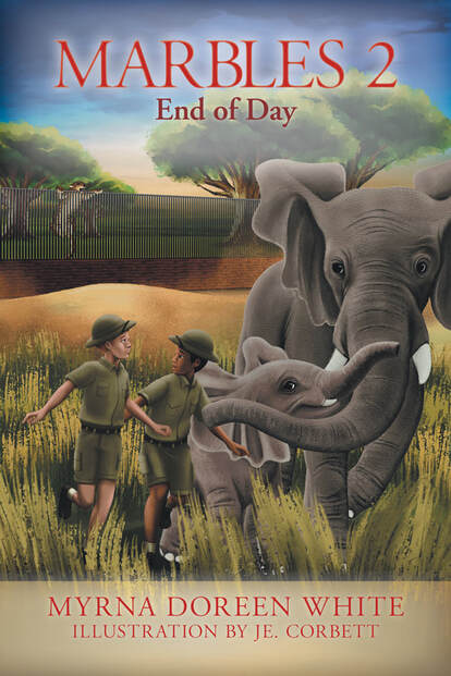 Marbles 2: End of Day book cover